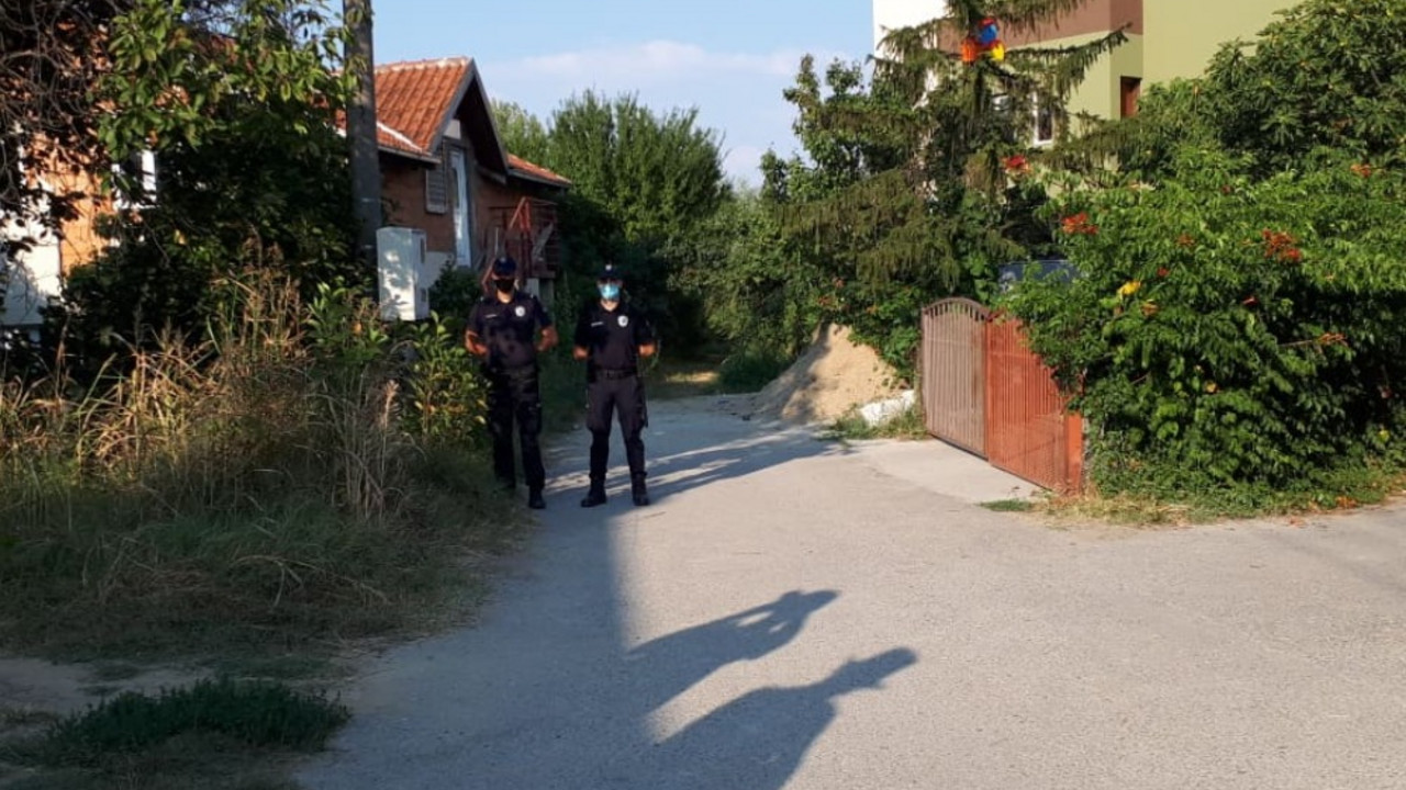 kotež