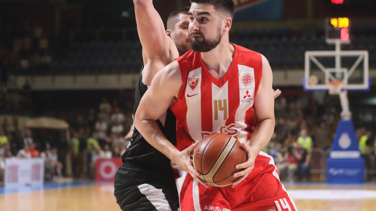 Dušan Ristić