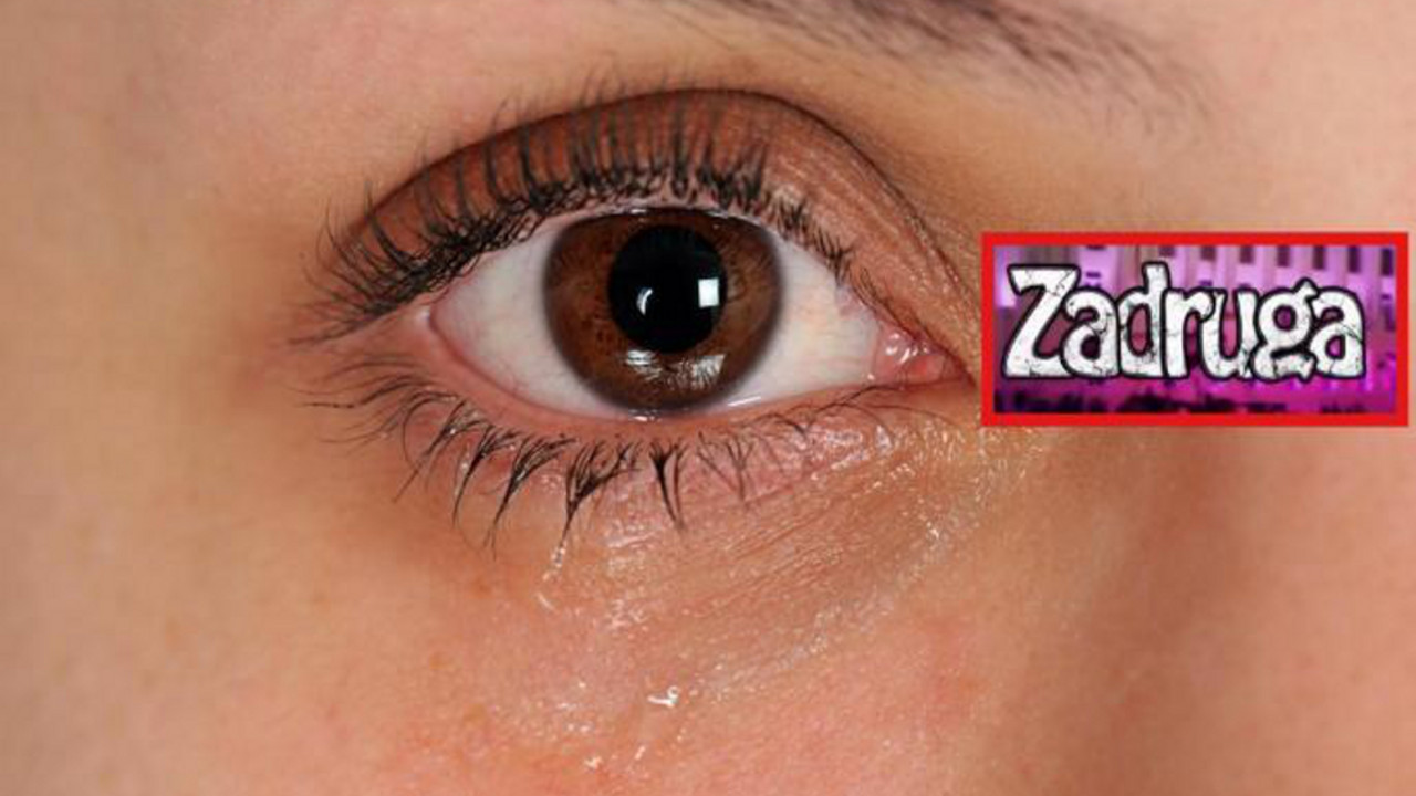 Zadruga 4