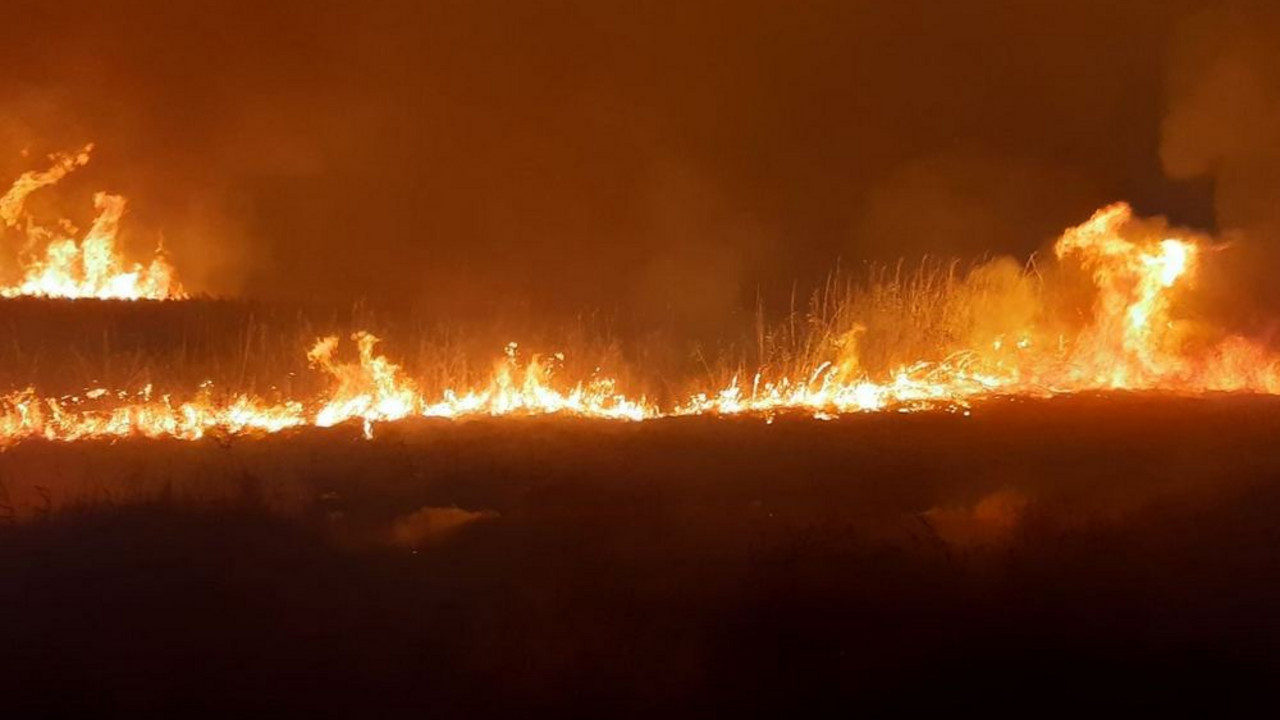 požar Staro Kopovo