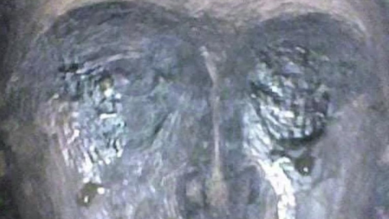 Bogorodica
