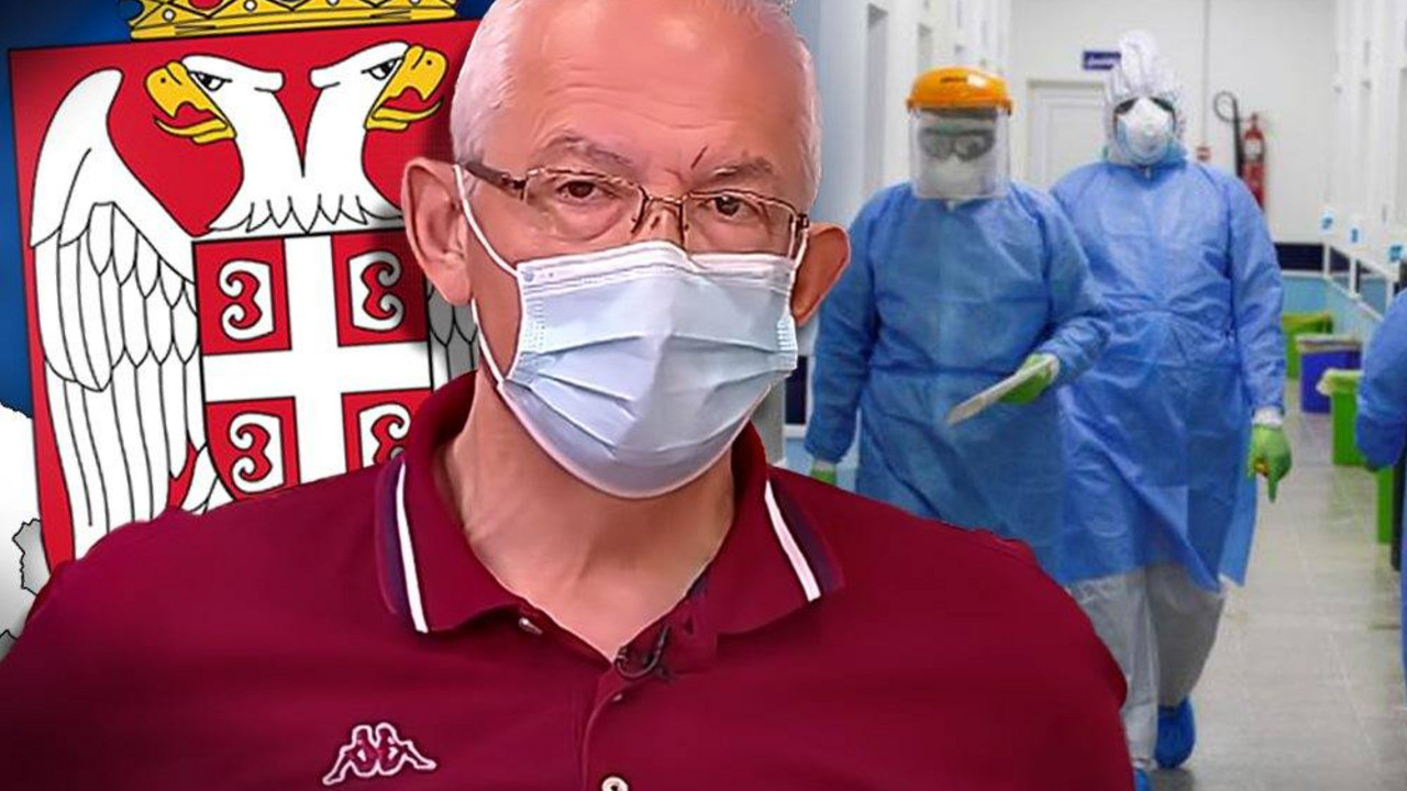 korona virus