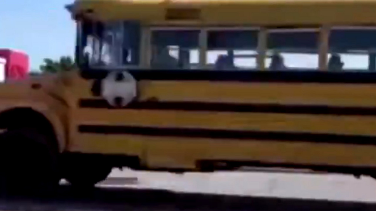 Bus