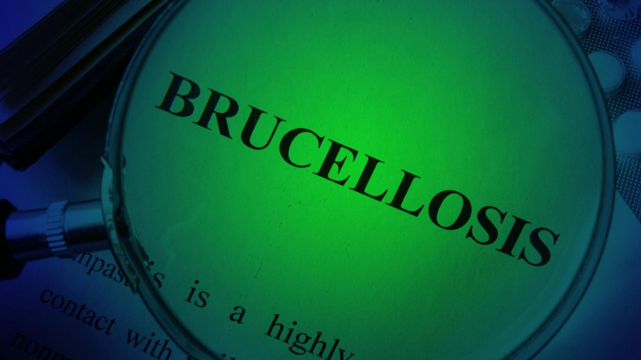 Bruceloza