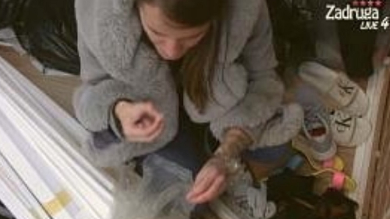 Elena Stojčić