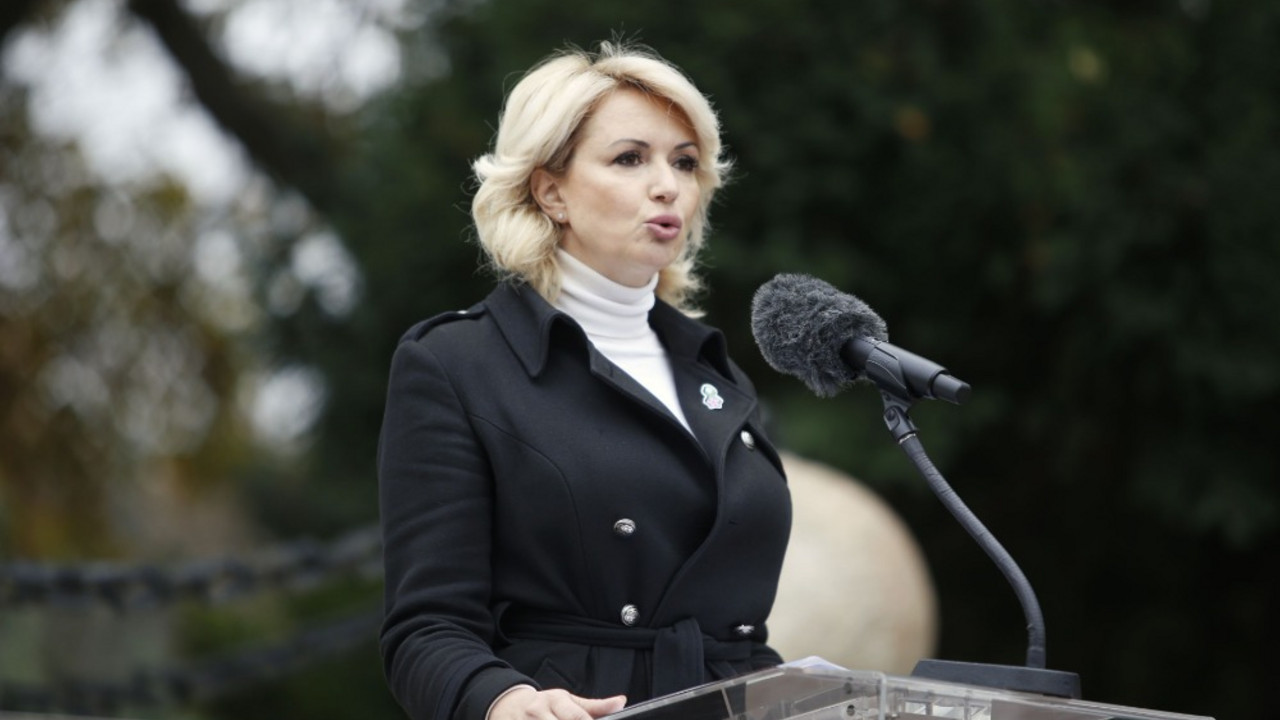 Darija Kisić Tepavčević