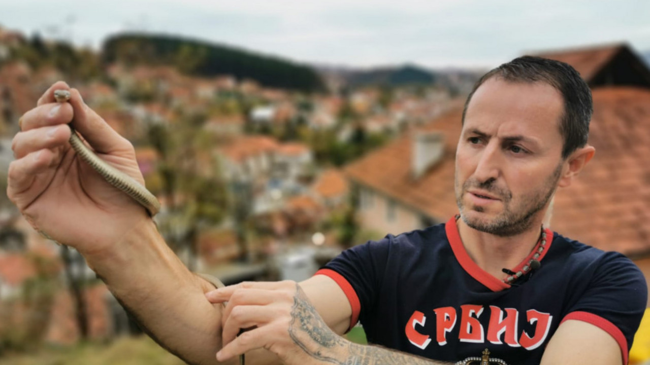 Hvatač zmija