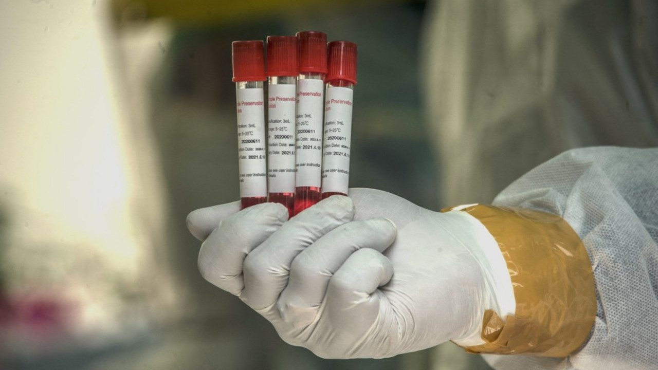 koronavirus