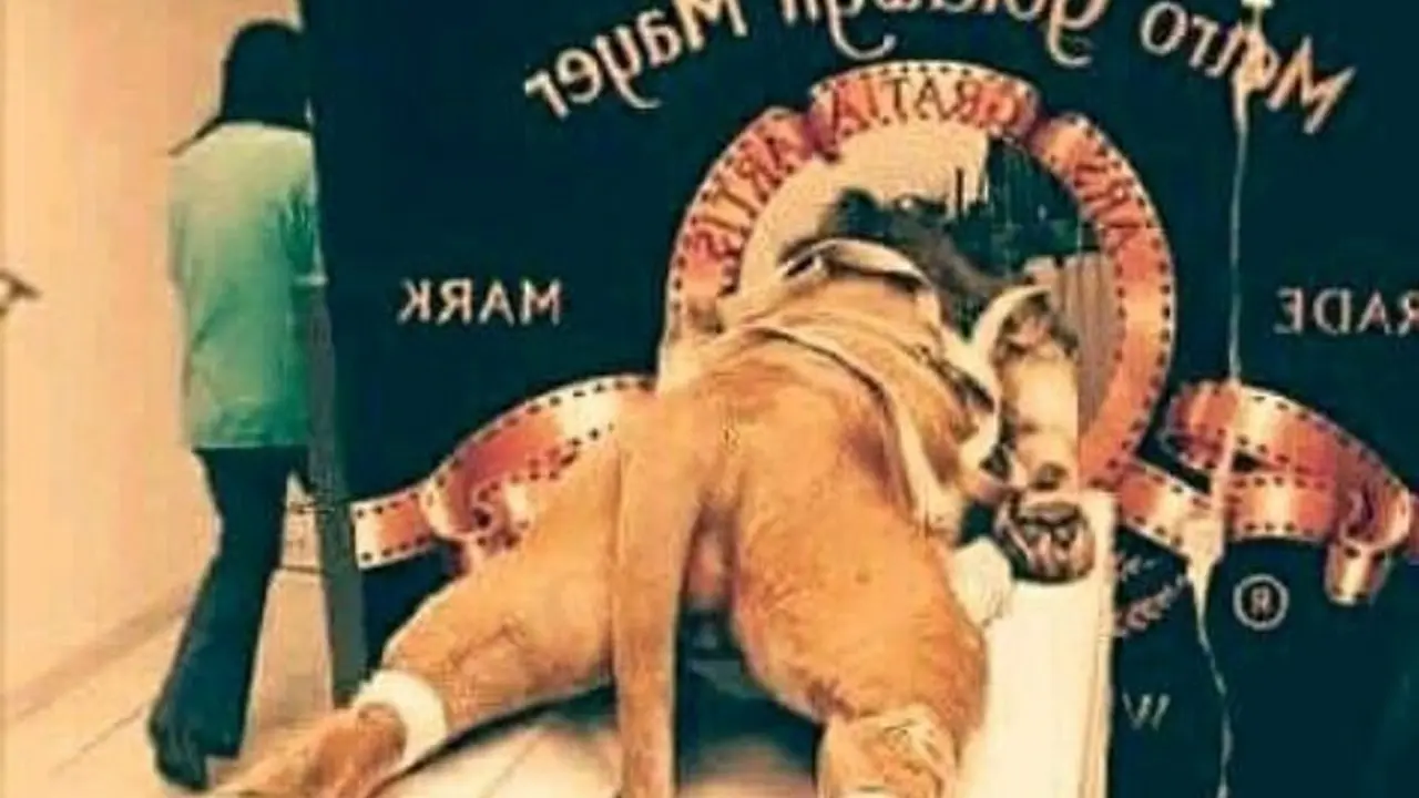 MGM