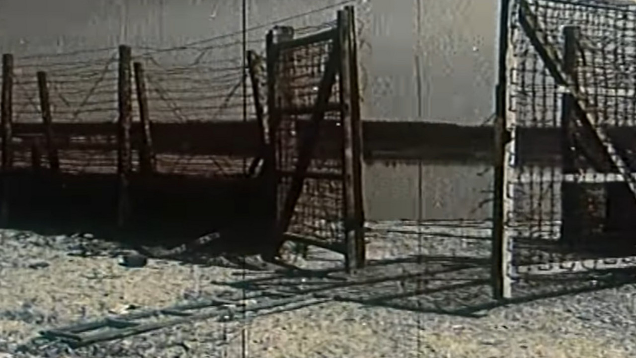 Jasenovac