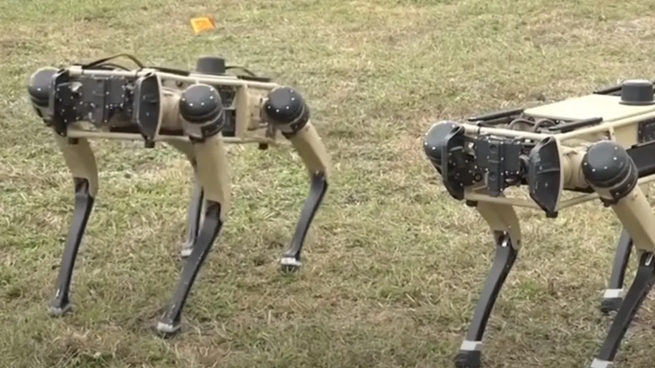 Robotizovani psi