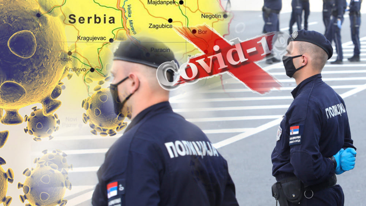 korona virus