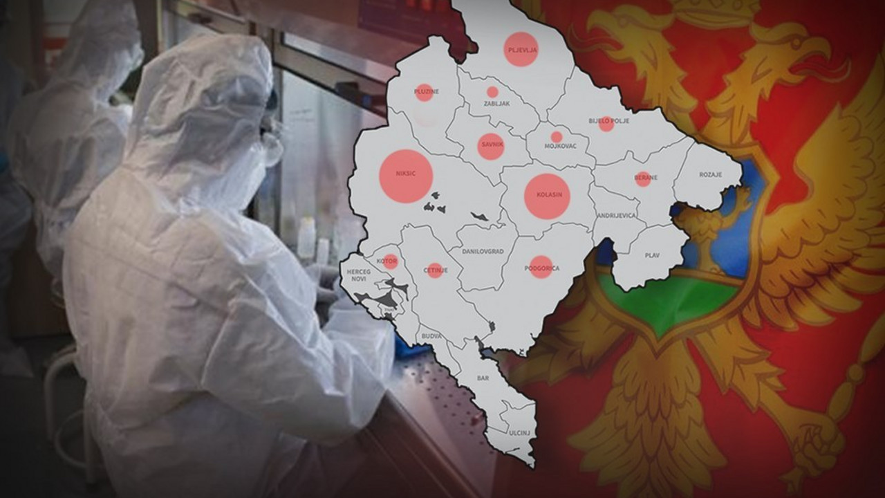 korona virus
