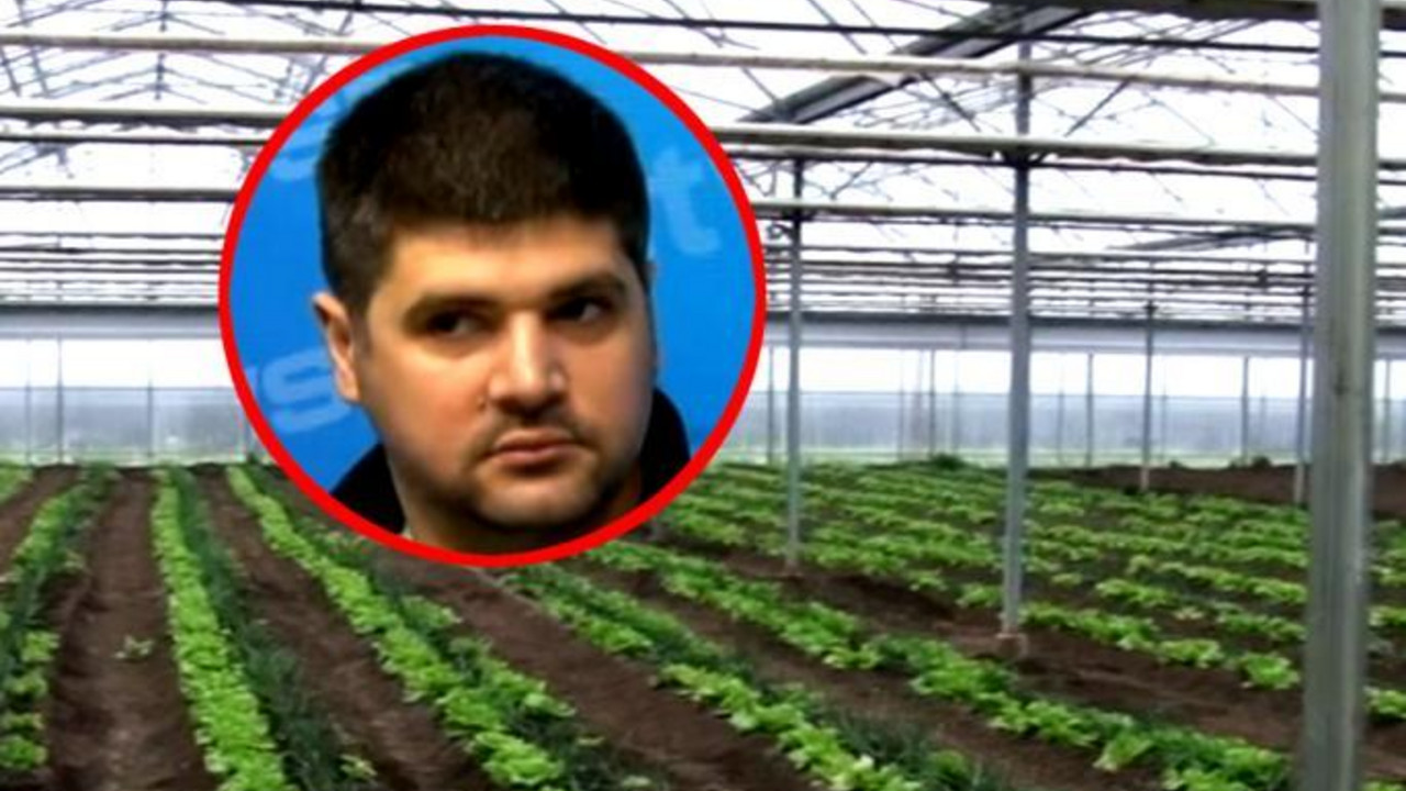 Predrag Koluvija