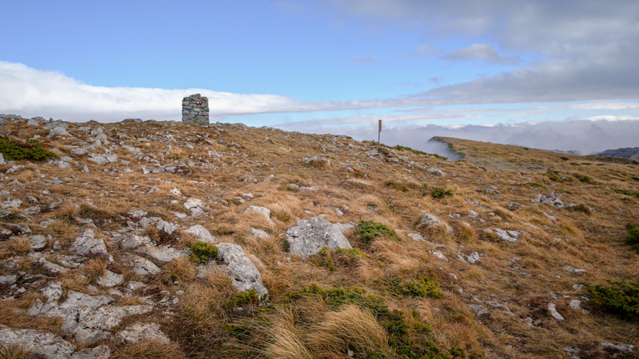 Suva planina