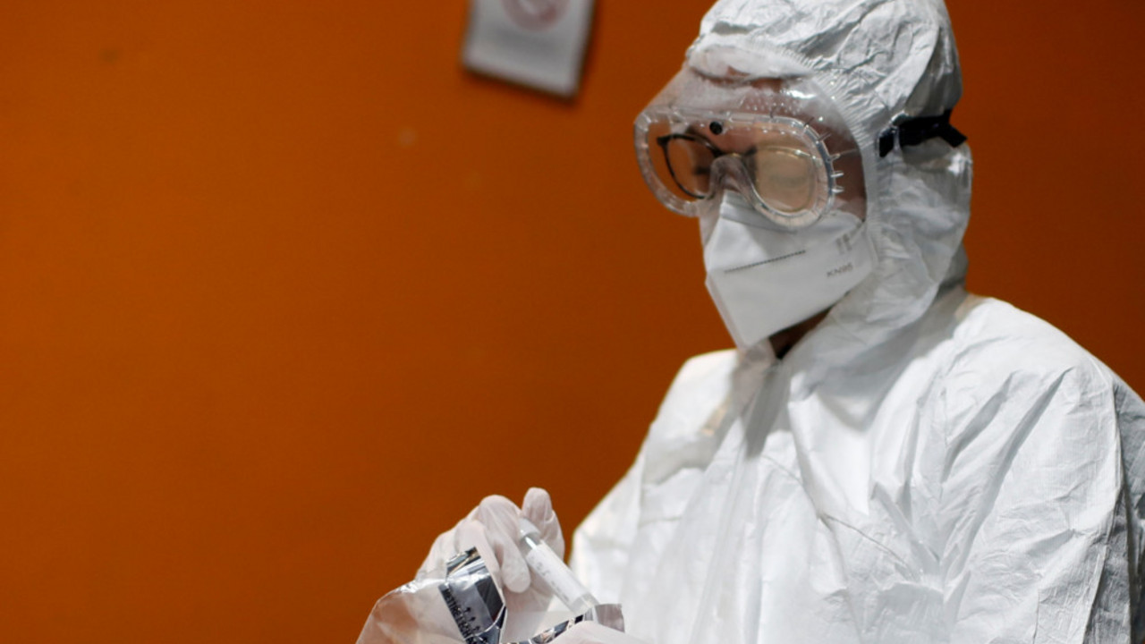 korona virus