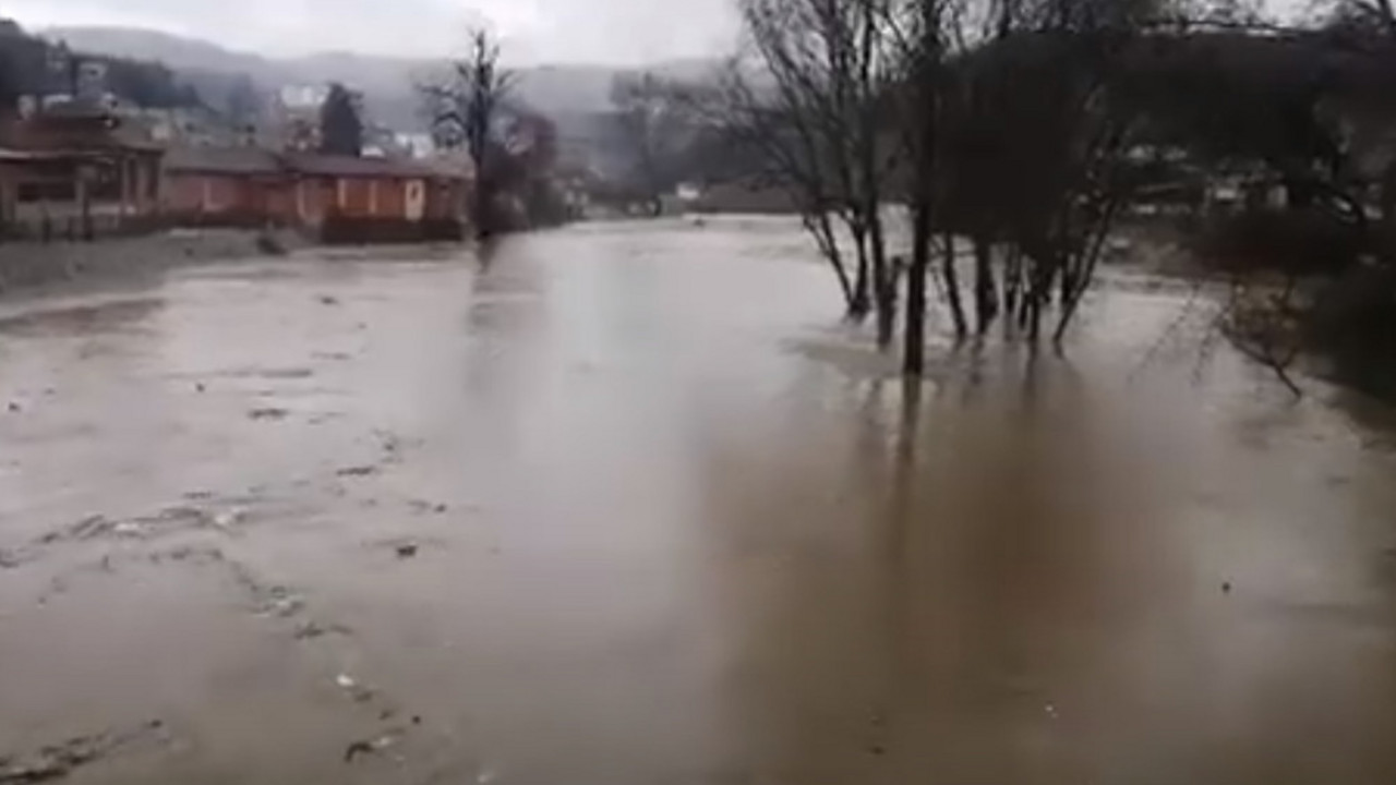 Vladičin Han