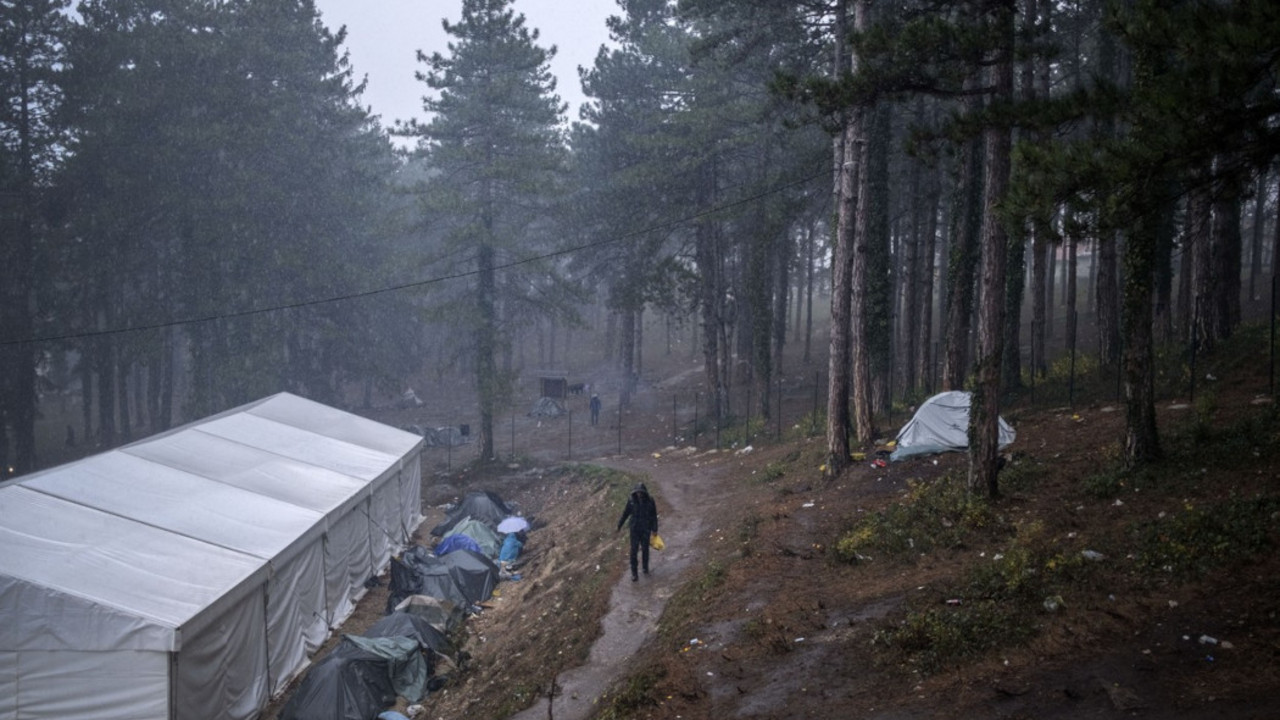 migranti