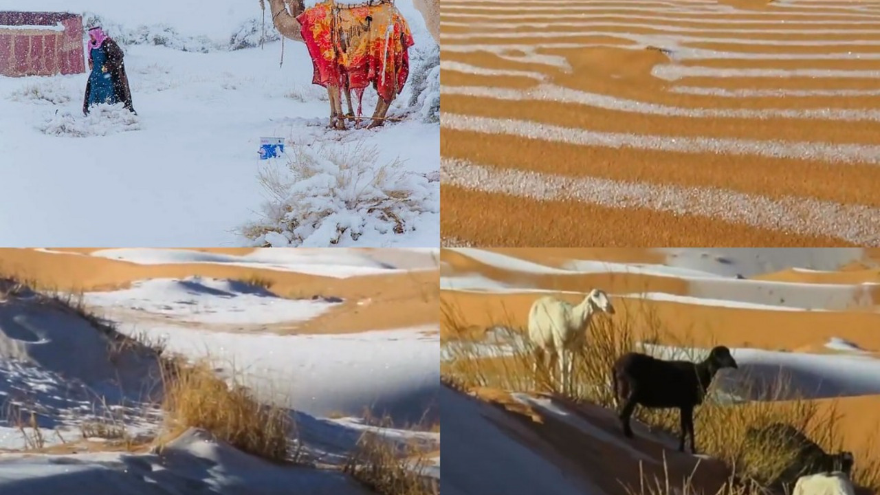 Sneg, Sahara, pustinja