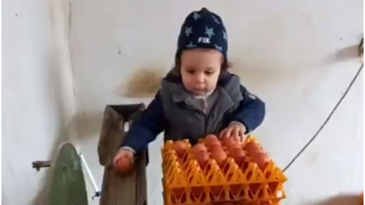 Jakov
