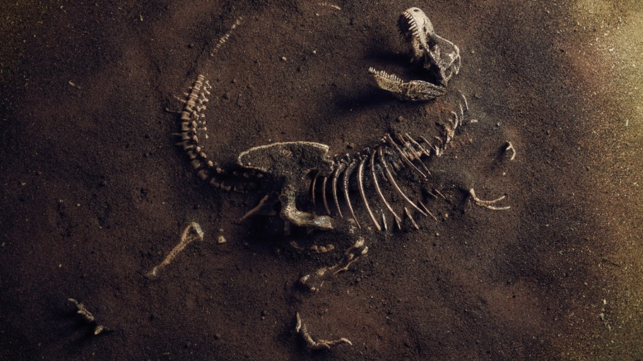 dinosaurus