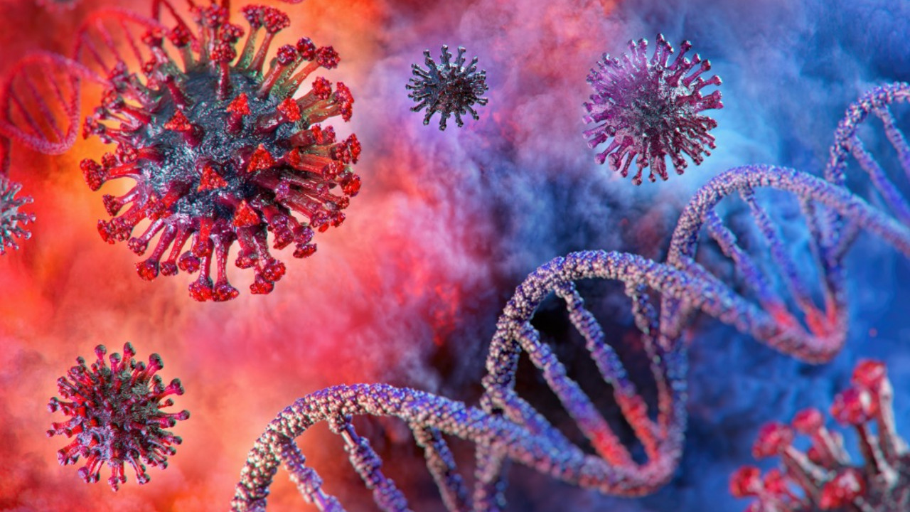koronavirus