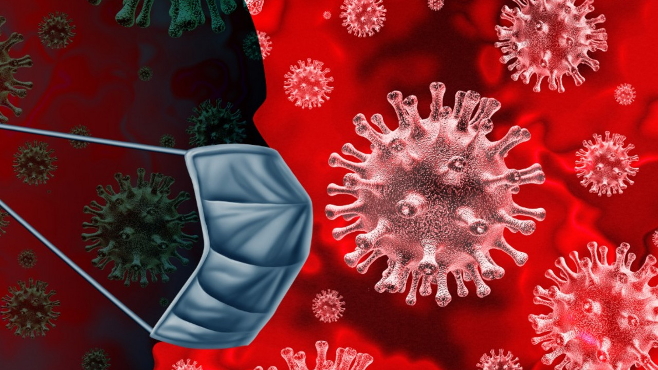 korona virus