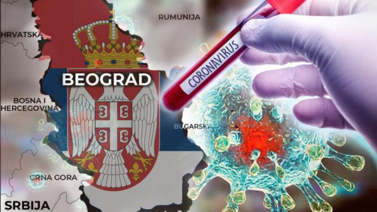 korona virus