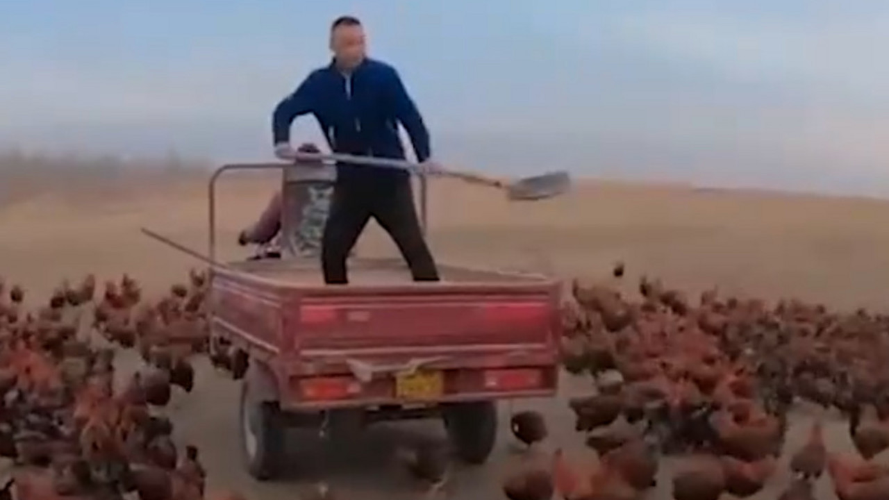 Kineski farmer