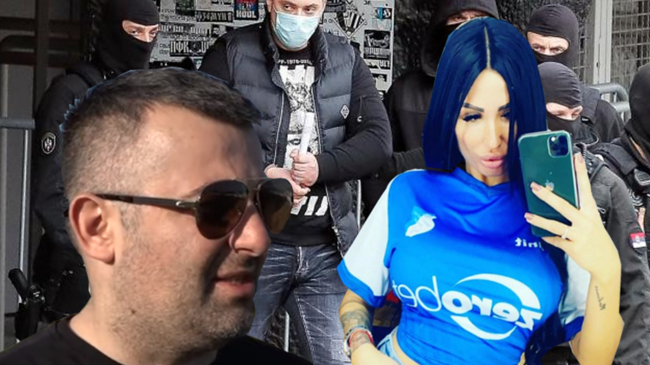 Tijana Ajfon, Velja Nevolja, Prinicipi