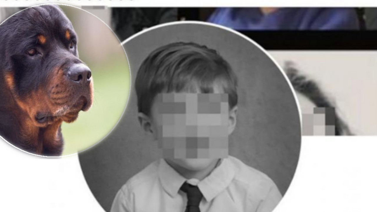Tragedija u Senti