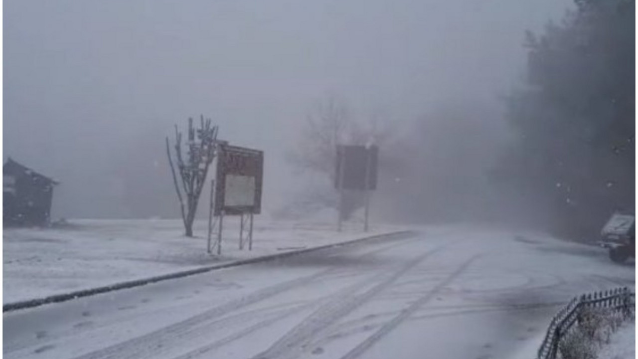 Fruška gora