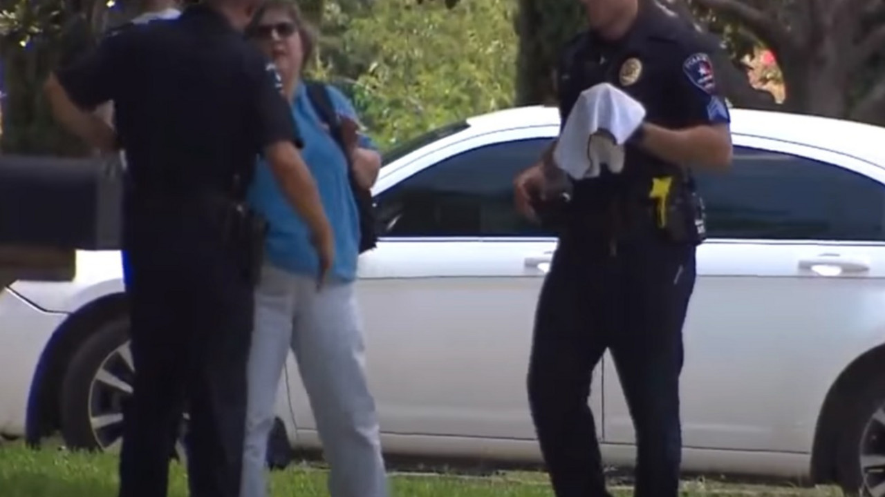 policija