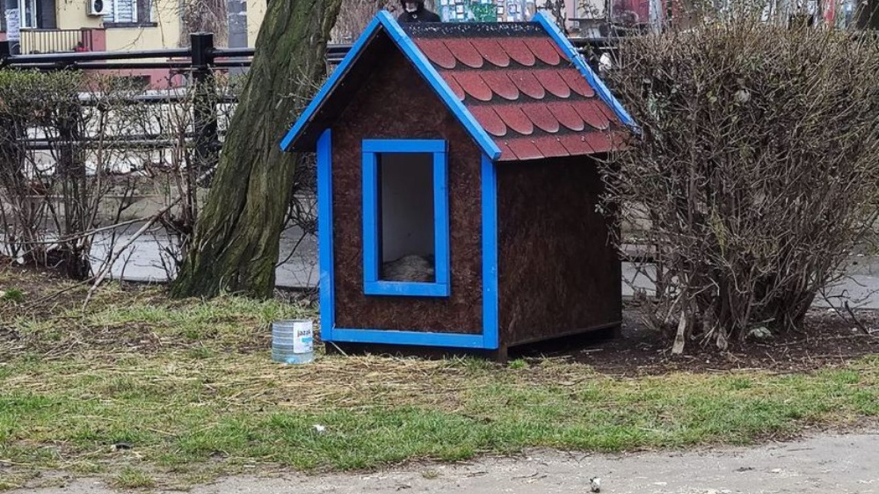 kućica za pse u borskom parku
