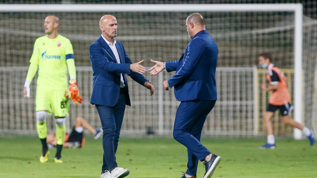 Aleksandar Veselinović, Dejan Stanković