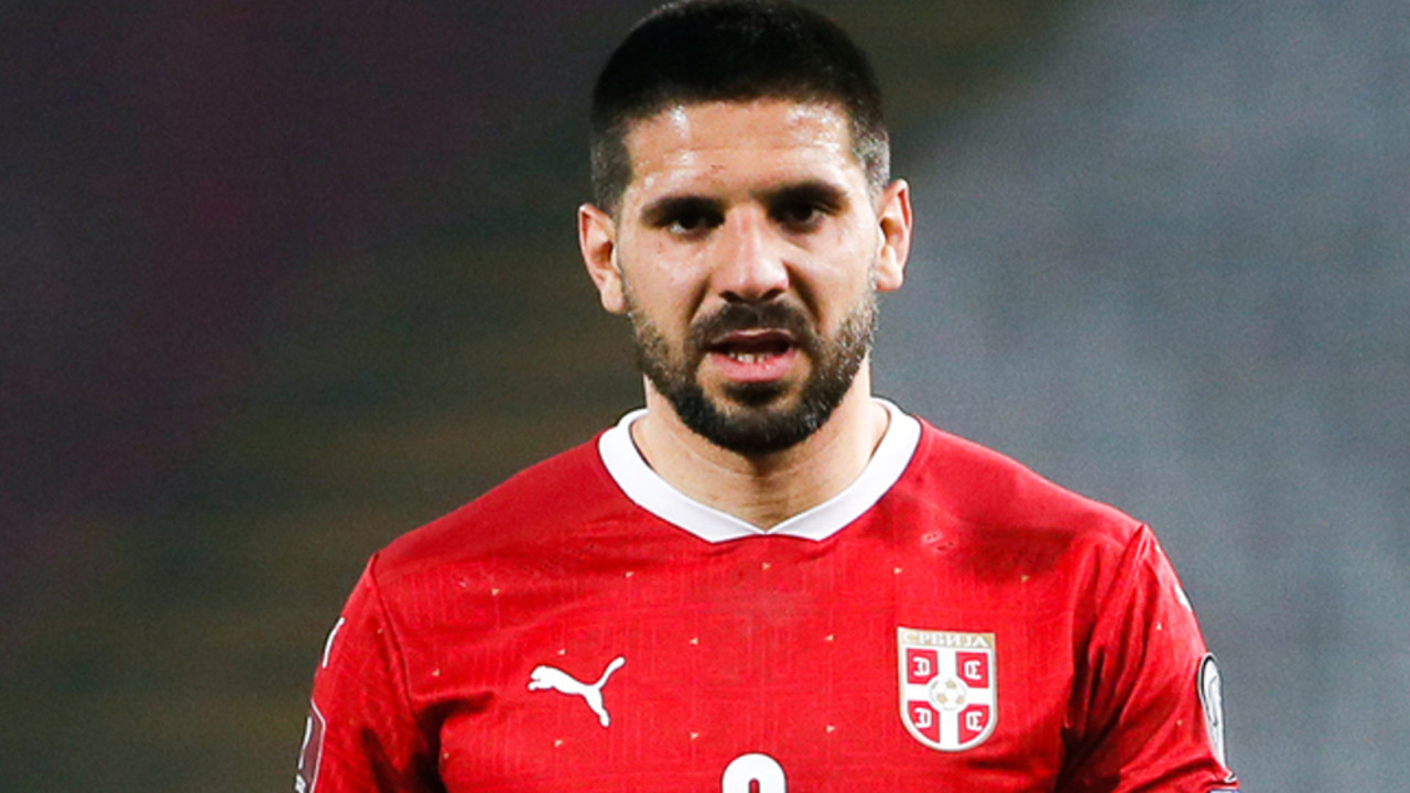 Aleksandar Mitrović