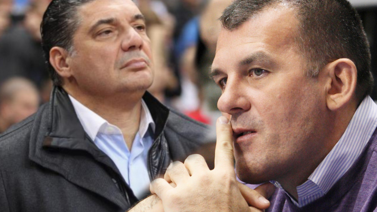 Miodrag Ražnatović, Zoran Savić