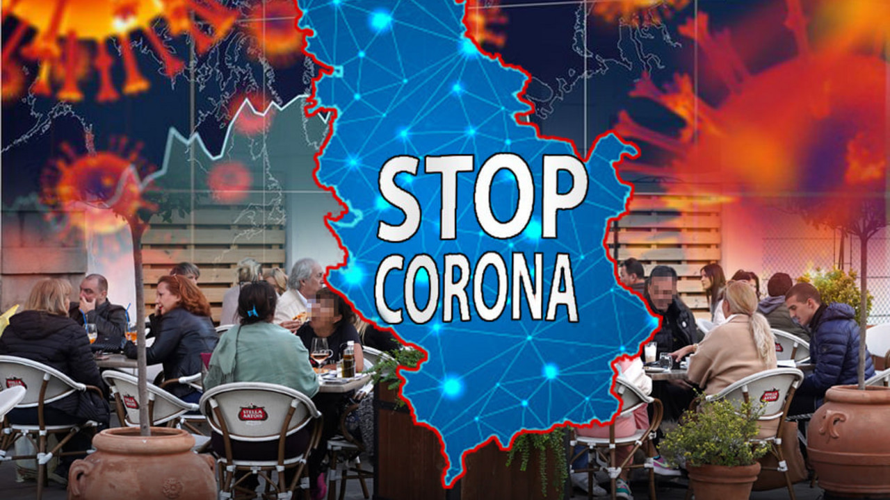korona virus