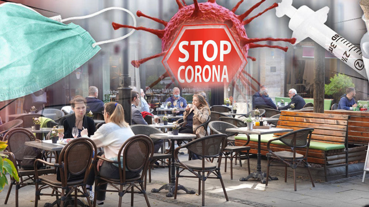 korona virus