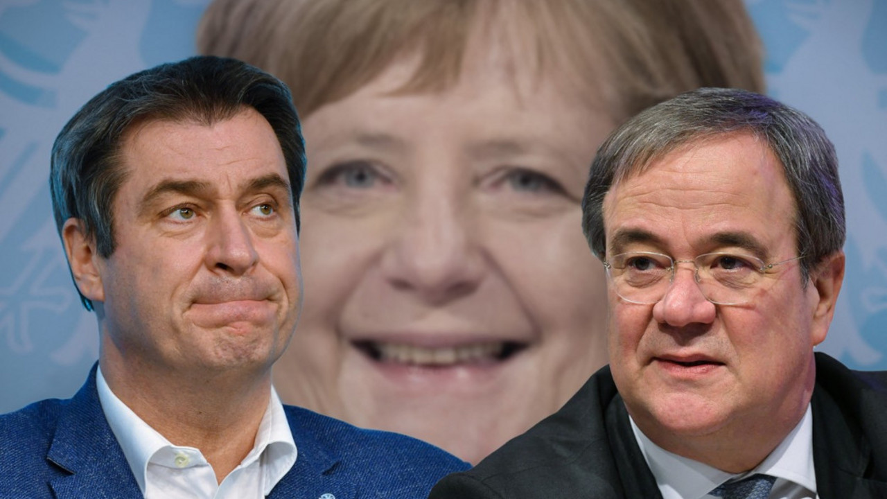 Lašet, Zeder