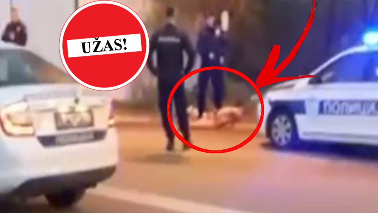 Užas u Surčinu