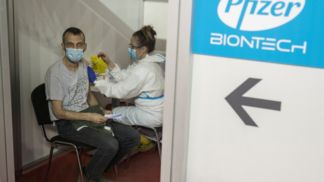 korona virus