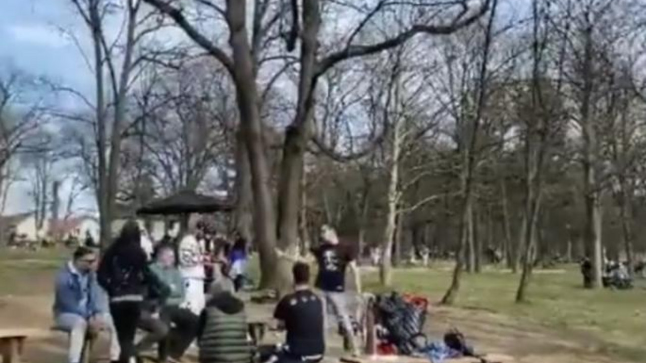 Košutnjak