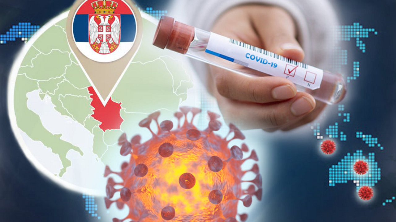 korona virus