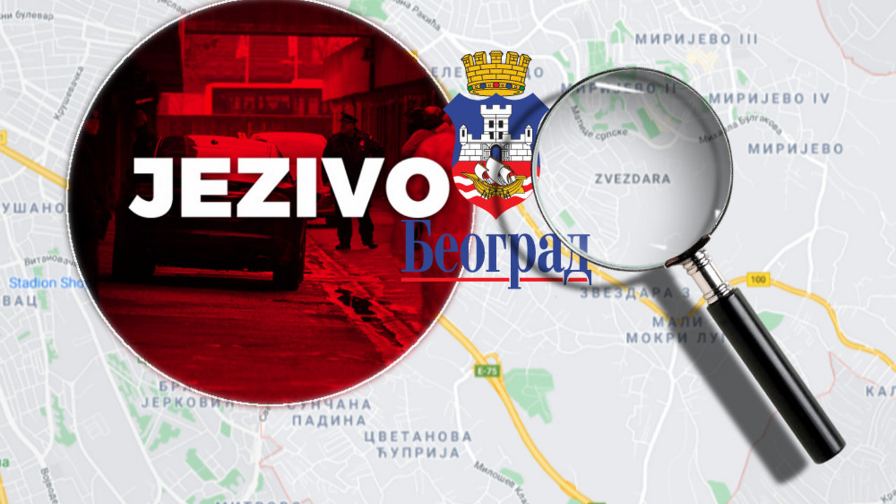 zvezdara