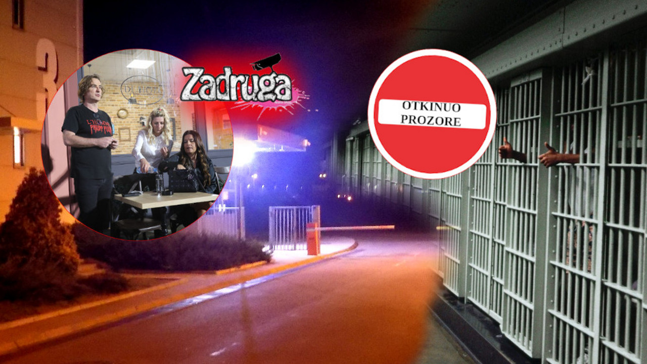 Karađorđe Subotić, Zadruga, rijaliti