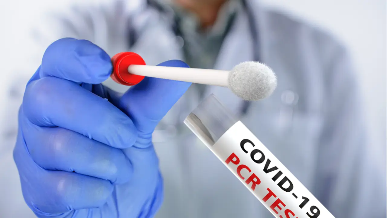 pcr test