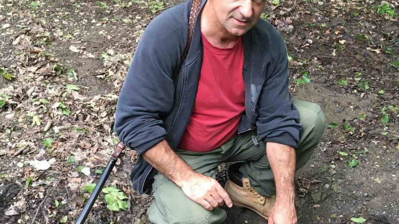 Zoran