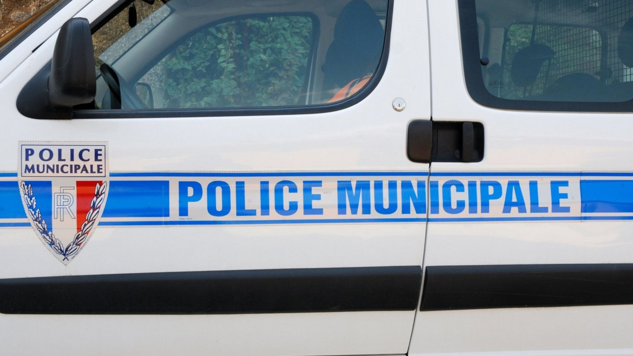 Francuska policija