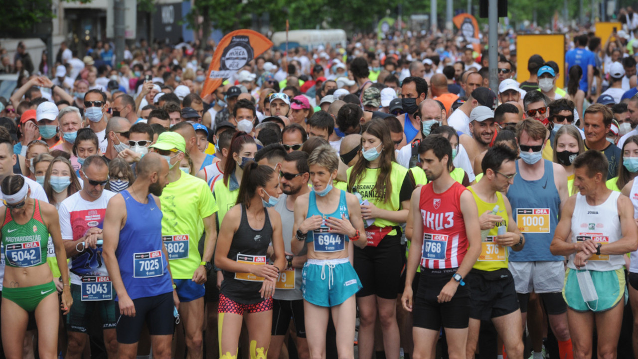 Beogradski maraton